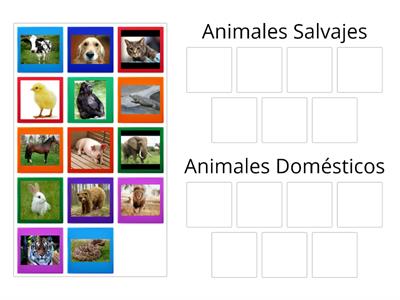 Animales salvajes y domésticos