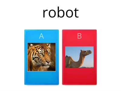 Tiger/Camel Quiz