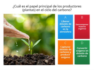 Ciclo de la maeria: carbono, nitrógeno, fósforo y azufre.