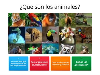 LOS ANIMALES