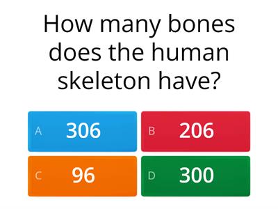 Skeleton quiz