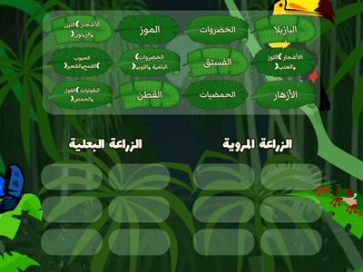  تصنيف المحاصيل الزراعية حسب أنماط الزراعة - المعلمة سماح قدورة