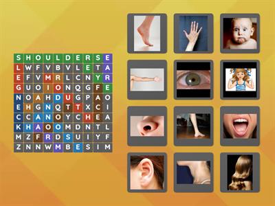 BODY PARTS WORDSEARCH