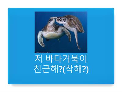 Sea Creatures - are 형용사