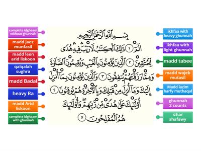 tajweed