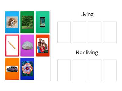 Living and Nonliving sort