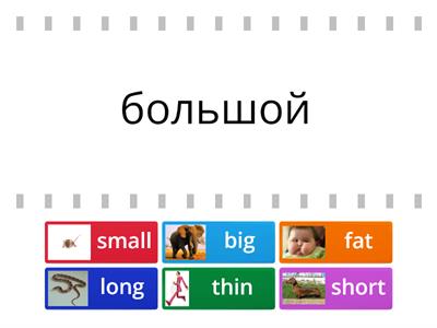 big- small, thin - fat, long- short