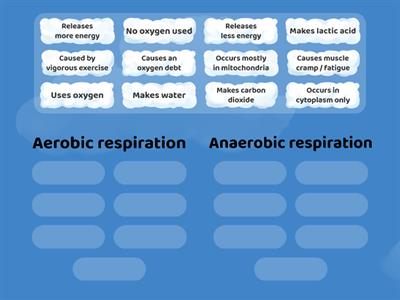 Aerobic vs Anaerobic respiration