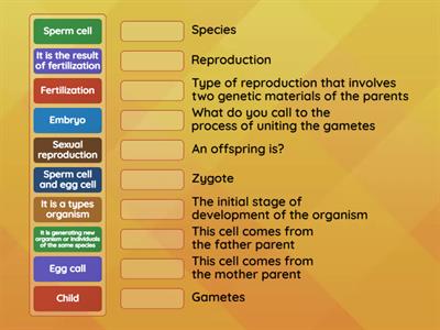 Sexual reproduction rebyu