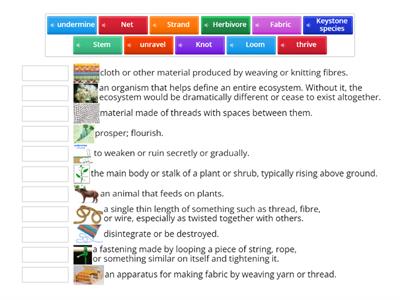 Why is Biodiversity so important? - 2