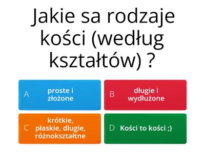 kości 