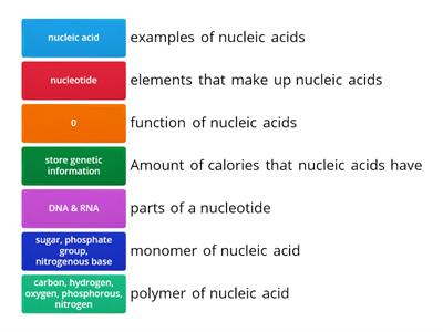Nucleic acid practice