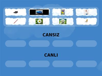 Canlı ve cansız varlıkları gruplayabilir misin?