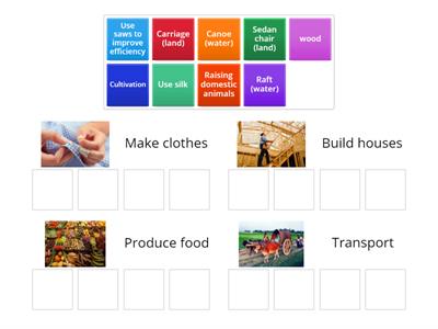 How did our ancestors solve their daily life problems? Put the correct answers under different groups.