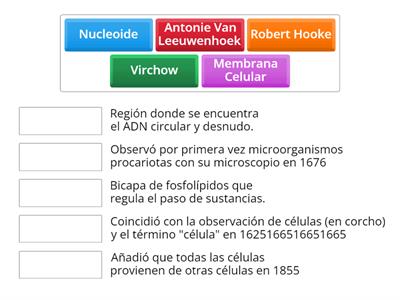 Célula Procariota