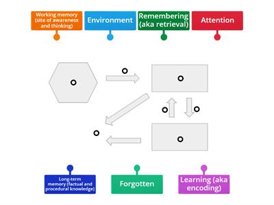 Model of the Mind