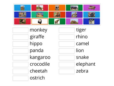 Zoo Animals - Match Up