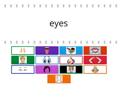 1A4 Facial Features and Body Parts