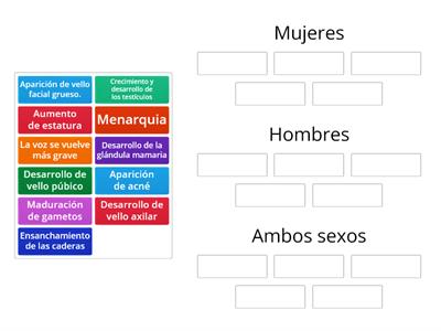 Cambios Físicos en la pubertad