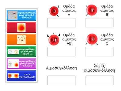 Προσδιορισμός ομάδων αίματος του συστήματος ΑΒΟ