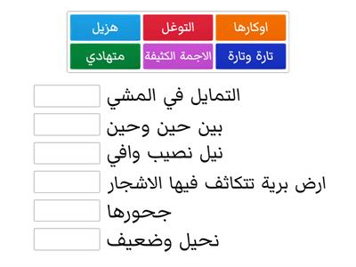 المفردات لغة عربية 2