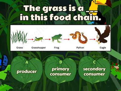 Ecology quiz