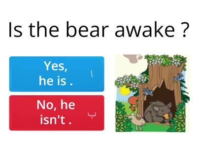 Questions the  lazy bear 