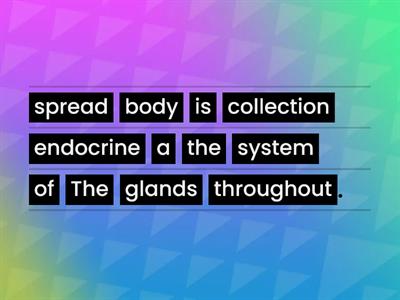 Endocrine Unjumble