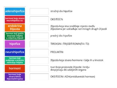 HORMONI_1