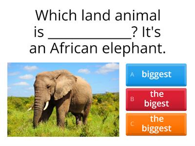 GW5_superlative_Which animal is the ___est?