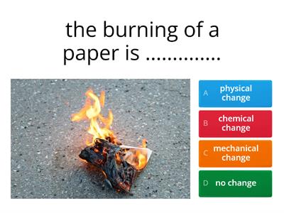 physical and chemical changes assessment