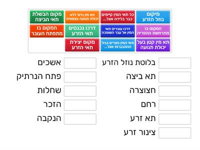 השוואה בין מערכות הרבייה