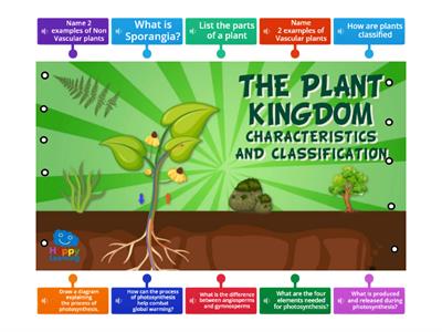 Activity 4 - The plant Kingdom