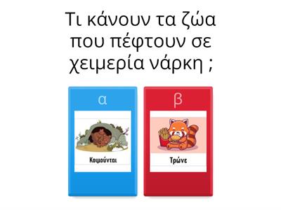 Χειμερία Νάρκη