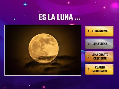 LAS FASES DE LA LUNA