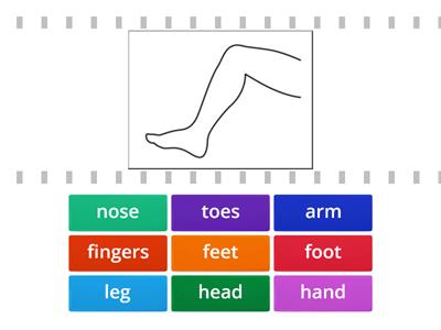 Poptrop Eng Isl 2. Unit 3 - Parts of the body