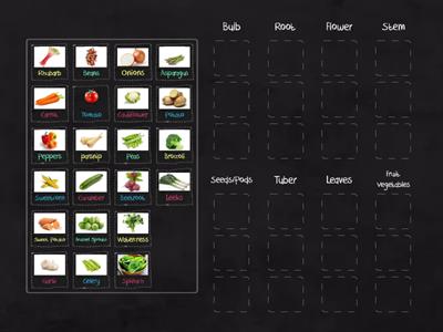 Food Classification - Vegetables