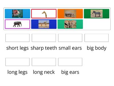Animals body parts - adjectives
