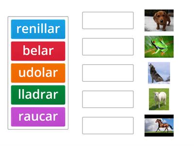 FORMACIÓ DELS REGNES CRISTIANS