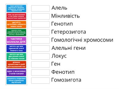 відповідність