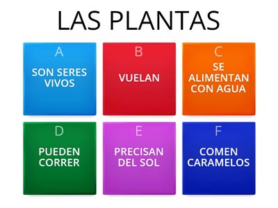 LAS PLANTAS