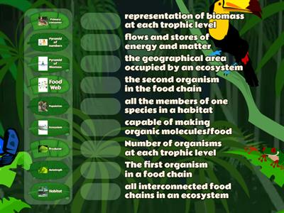 Ecosystem Key Terms