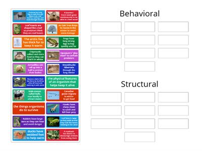 Behavioral vs. Structural Adapations