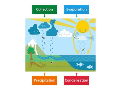 The Water Cycle