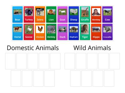 WILD AND DOMESTIC  ANIMALS