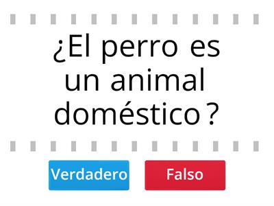 Animales domésticos y salvajes