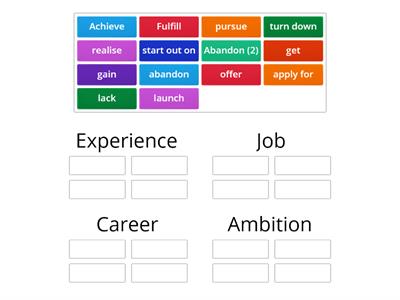 Ambition/career/job/experience collocations