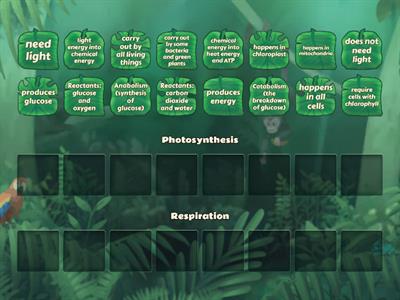 Photosynthesis VS Respiration