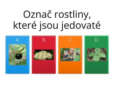 EKOSYSTÉM LES