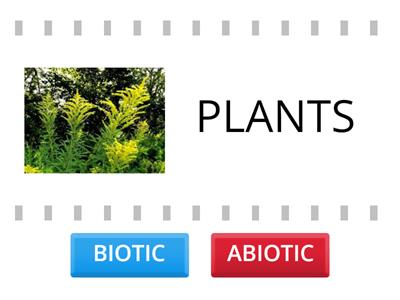 BIOTIC OR ABIOTIC?